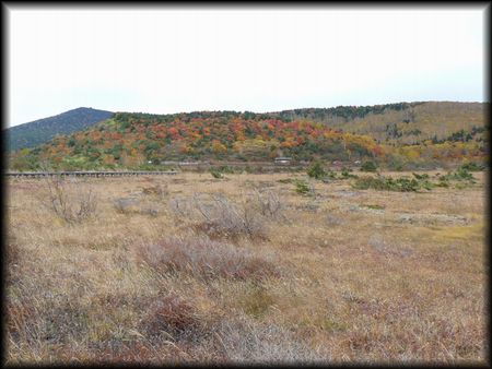 ��y������