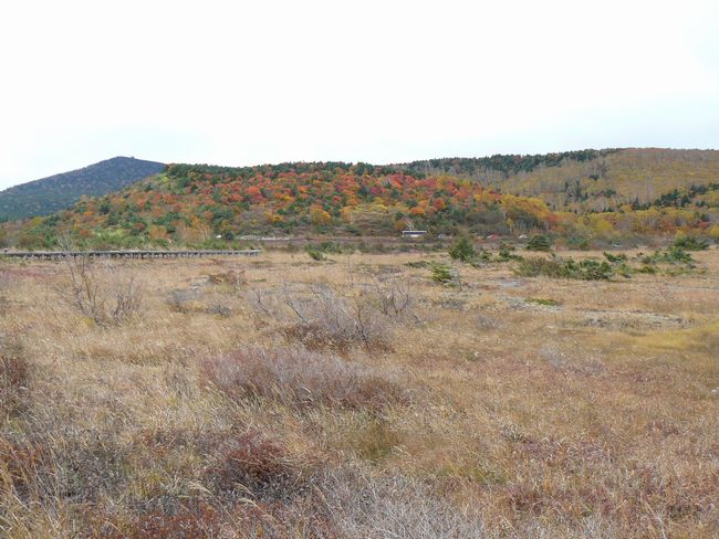 ��y������