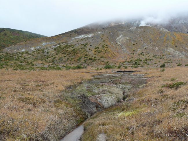 ��y������