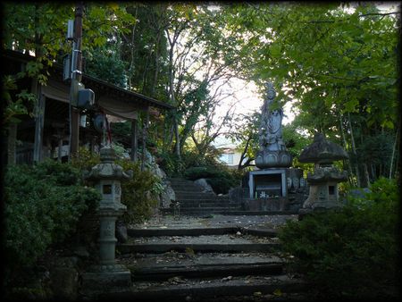 �O�����s����