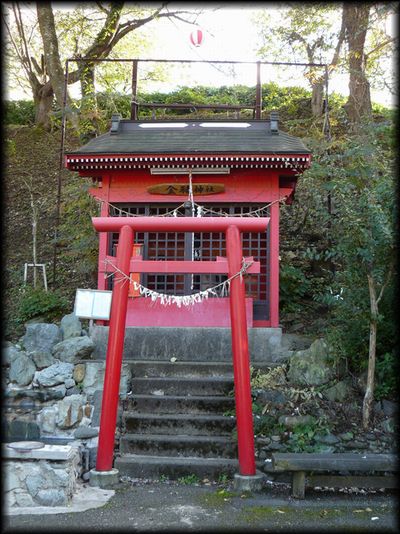 �����_��