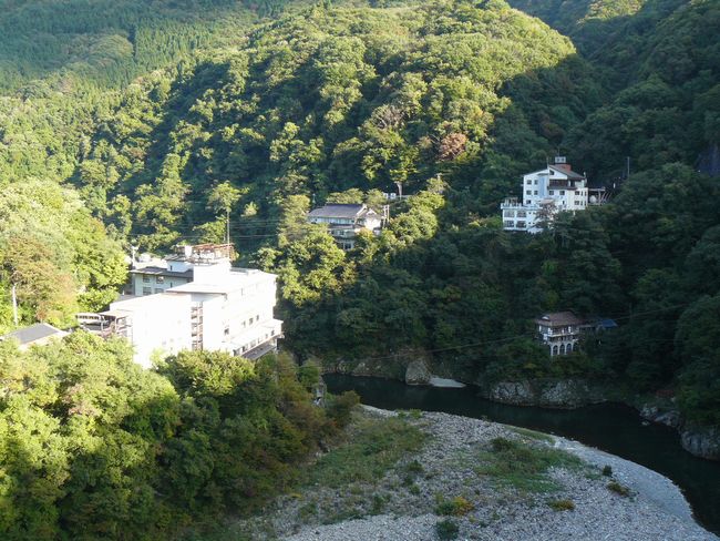 ���m�q����E������