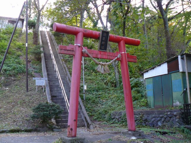 ���m�q����E����_��