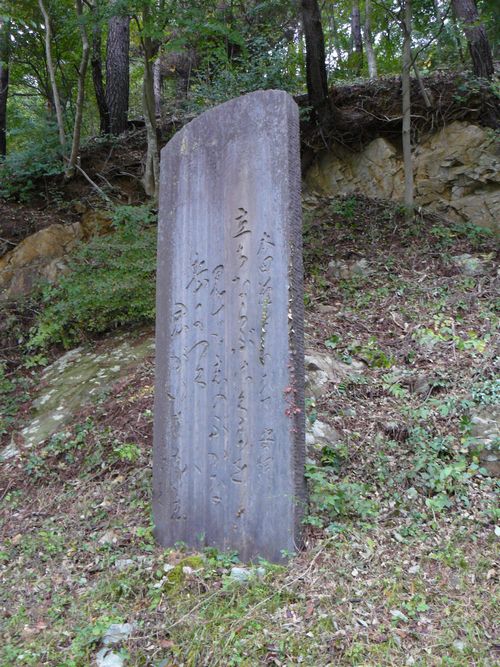 �{�c��������