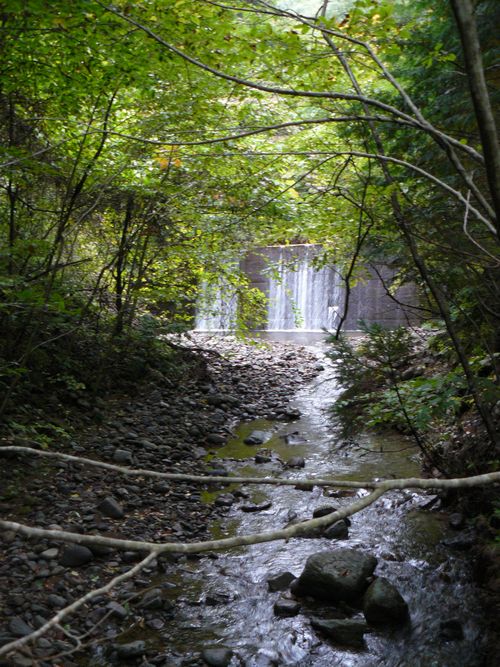 �x����E������