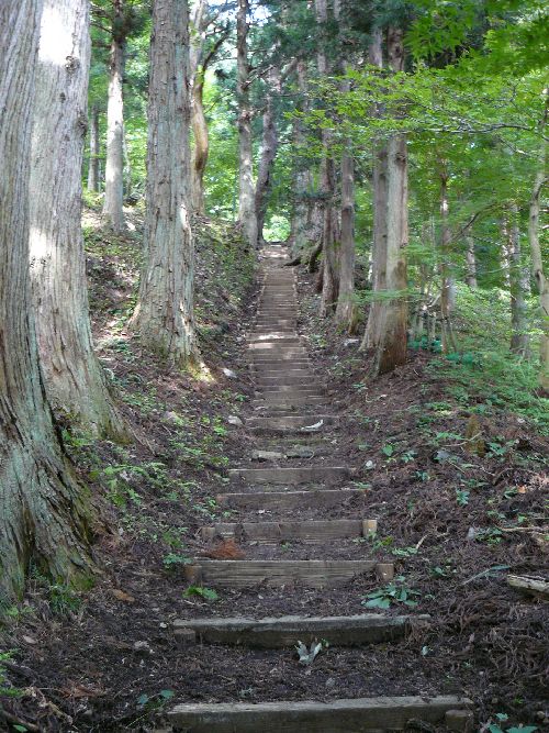 �剖���󑠕�F���i�֒�R�j�F�ʐ^