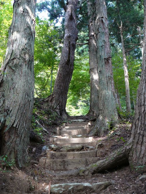 �剖���󑠕�F���i�֒�R�j�F�ʐ^