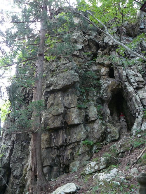 �剖���󑠕�F���i�֒�R�j�F�ʐ^