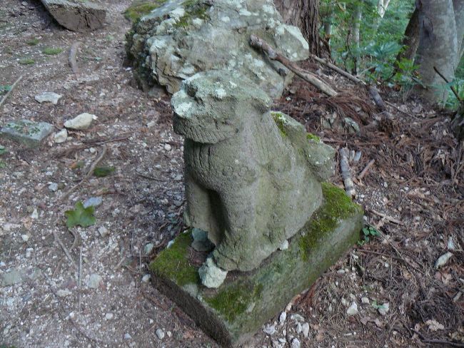 �剖���󑠕�F���i�֒�R�j�F�ʐ^