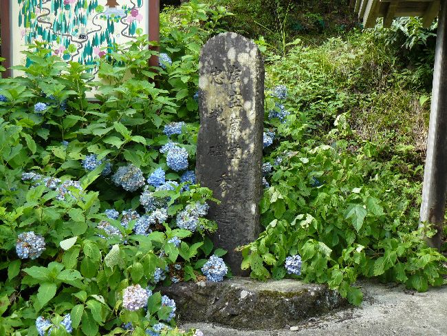 �剖���󑠕�F���i�֒�R�j�F�ʐ^