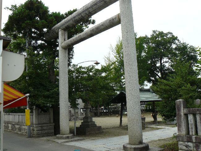 �V�Ɛ_���{