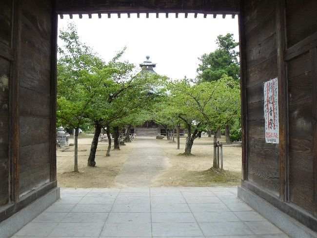 �ی���t��