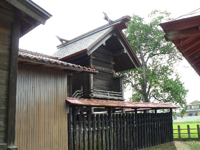 �����_��