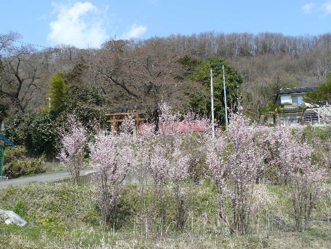 �������_��