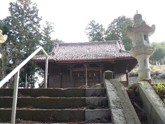 �����_��