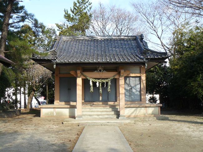 �����_��