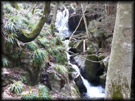 ����i����k�J�j