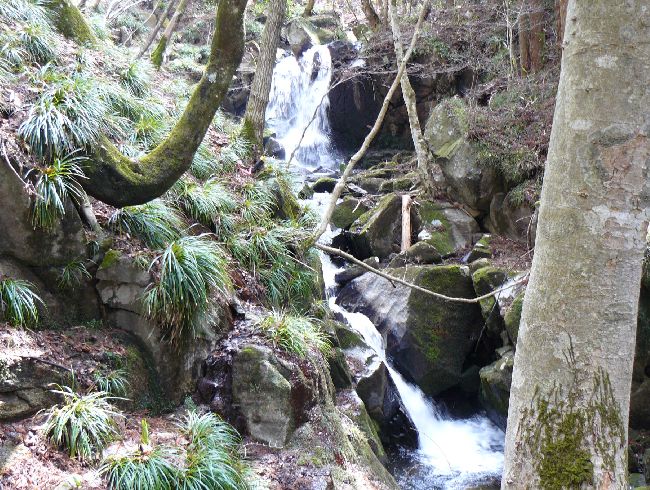 ����i����k�J�j