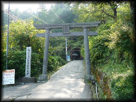 �����_��