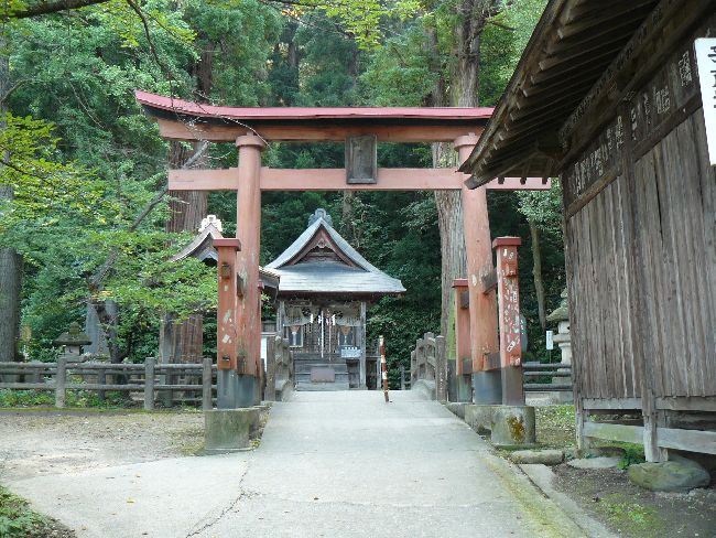 �����_��