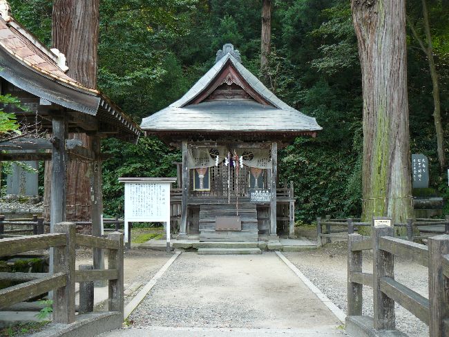 �����_��