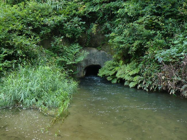 �˃m��������