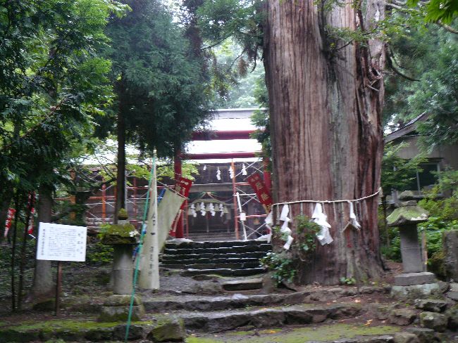 �ֈ֐_�Ёi���c�㒬�j