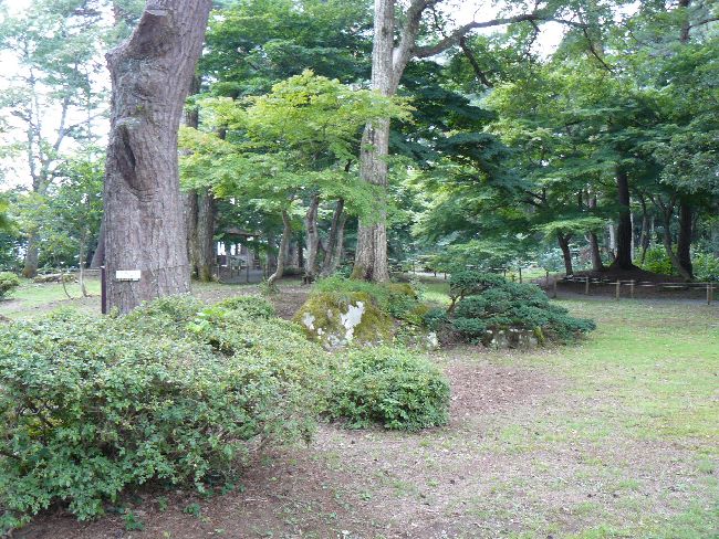 �������{�����ʓ@