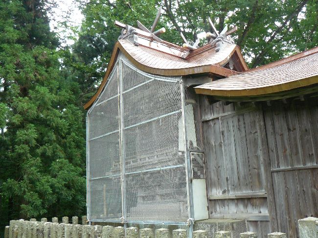 �������V���{