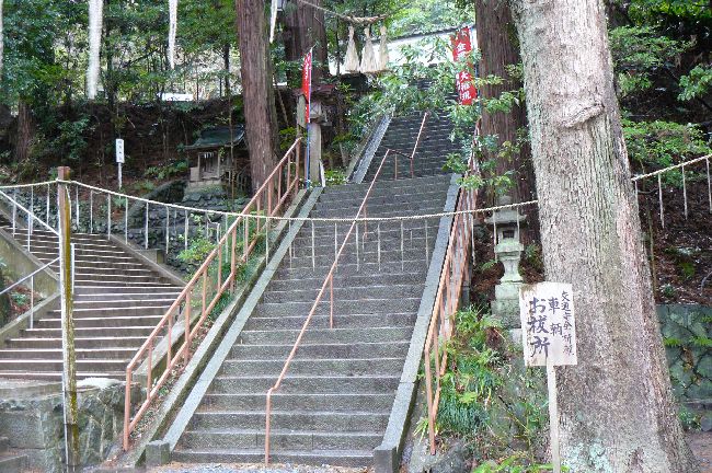 �����䗅�_��