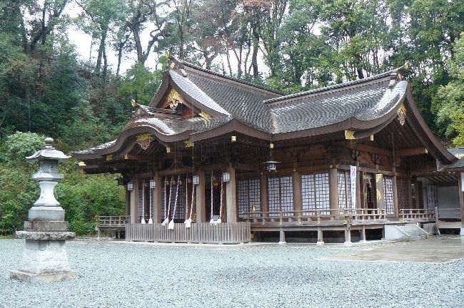 �����䗅�_��