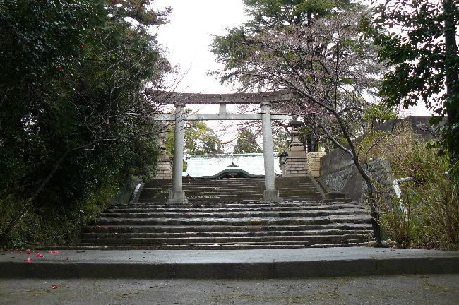 �q�L�q�_��