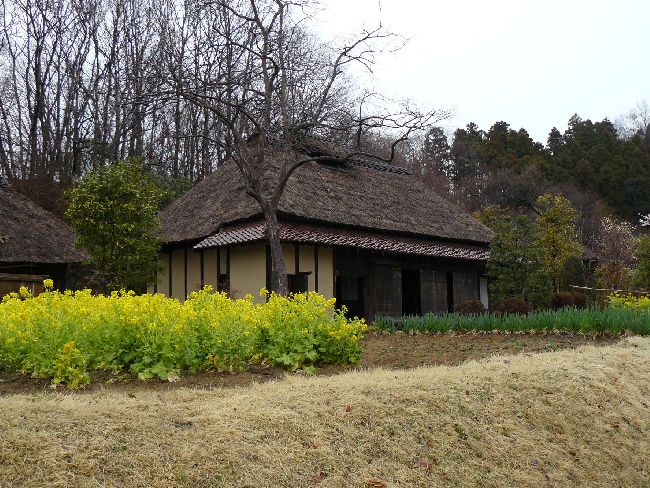 ������ƏZ��