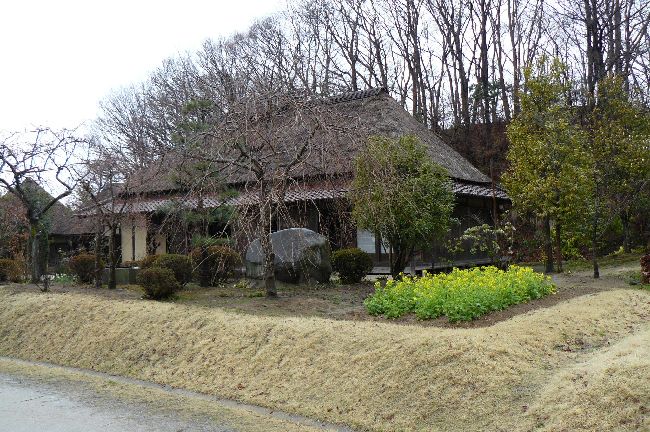 ������ƏZ��