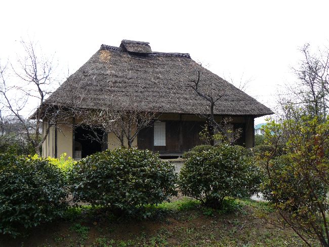 ������ƏZ��