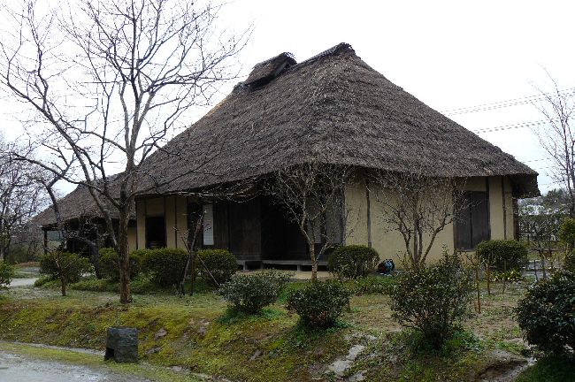 ������ƏZ��