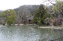 カーブが美しい池越に見える白水阿弥陀堂