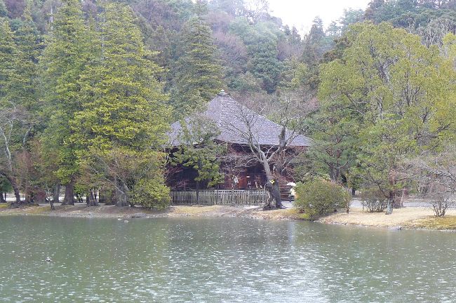 ��������ɓ�