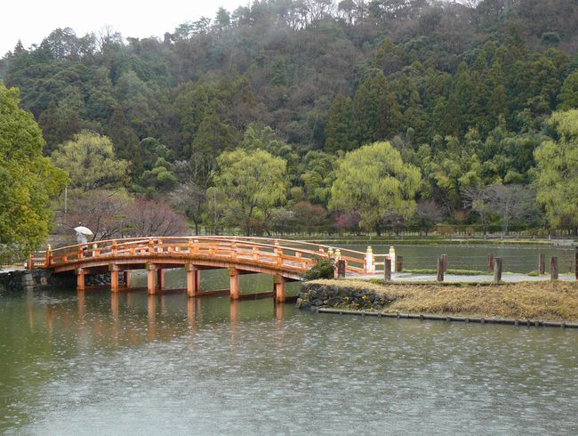 ��������ɓ�