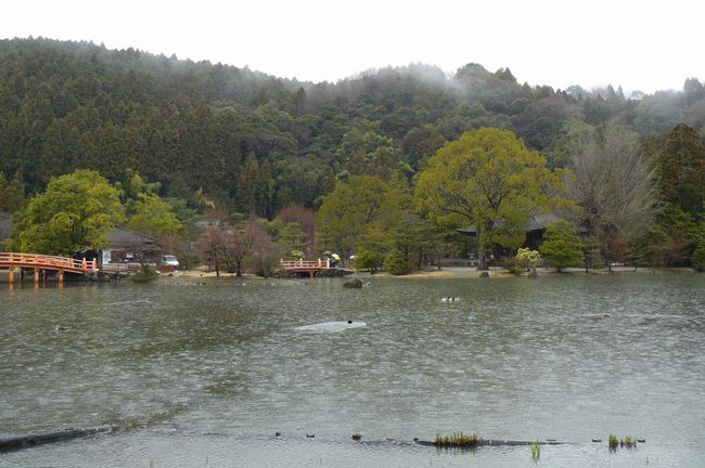 ��������ɓ�