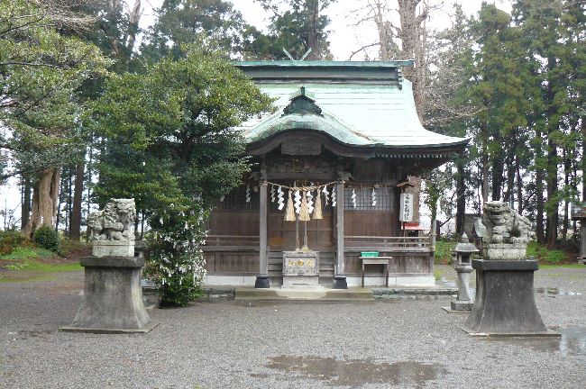 ���a�F��_��