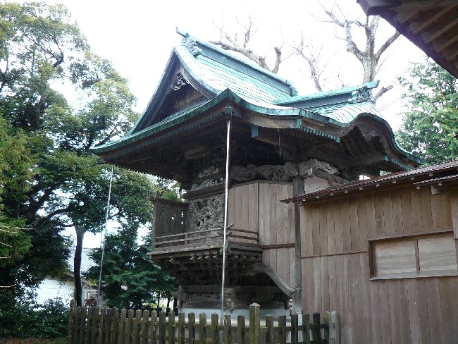 �����_��