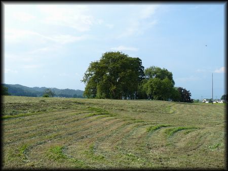 �É��~���