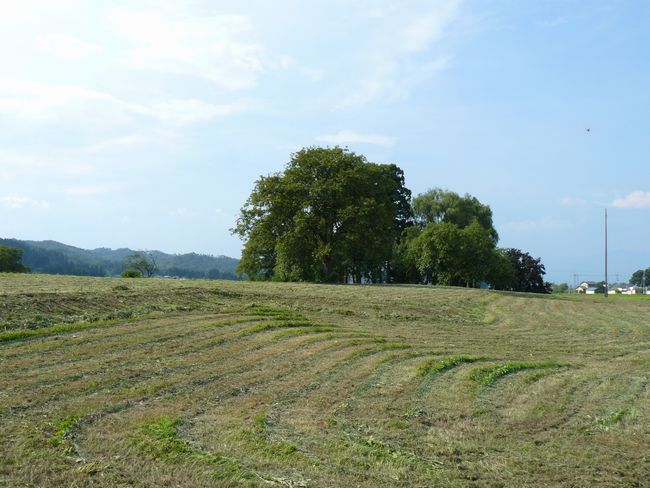 �É��~���