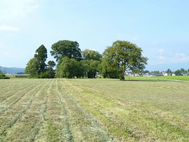 �É��~���