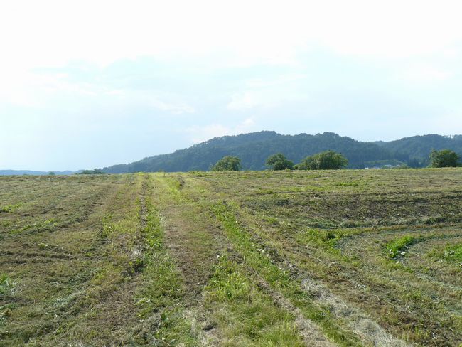 �É��~���