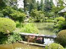 願成寺境内に作庭された庭園の池と石橋