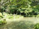 願成寺境内に作庭された庭園の池と石燈篭