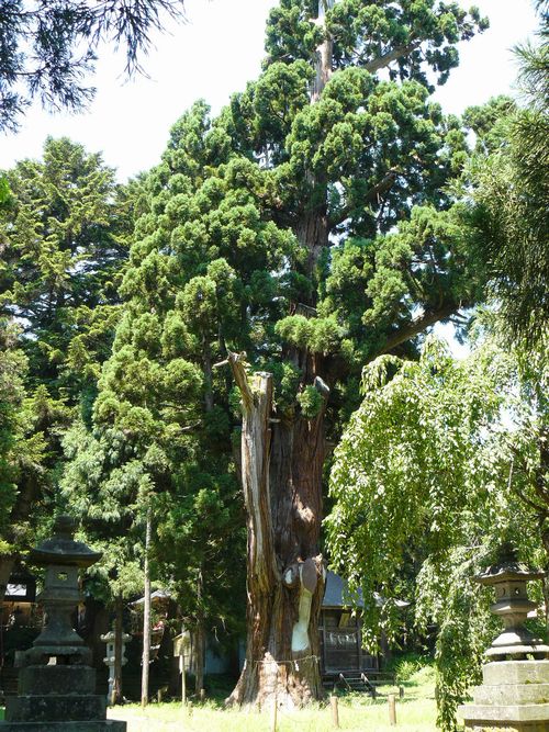 �c����א_��