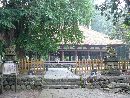 新宮熊野神社参道石畳みから見た長床とその前に置かれた石造狛犬